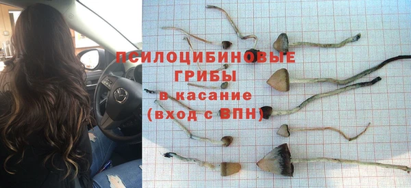 трава Аркадак