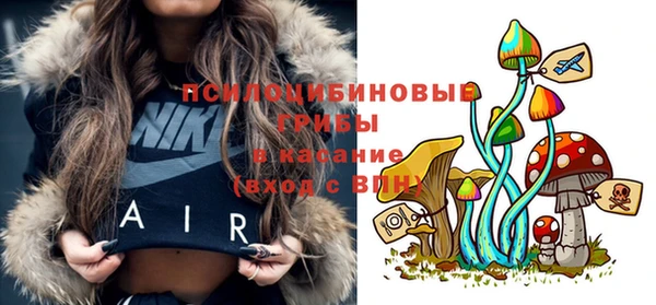 тгк Арсеньев