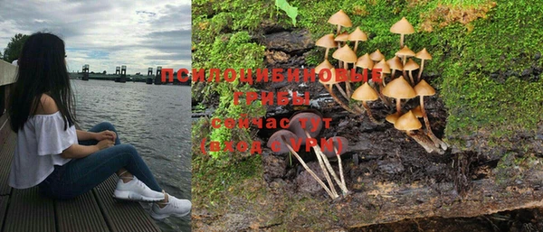 гашик Балахна