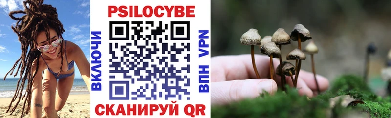 kraken ONION  Михайлов  Галлюциногенные грибы мухоморы 