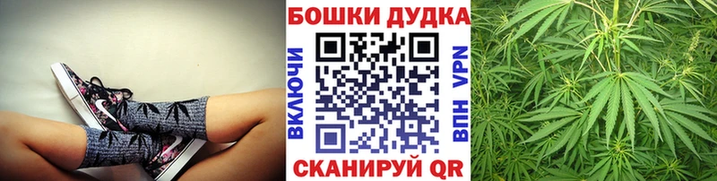 дарнет шоп  блэк спрут зеркало  МАРИХУАНА семена  Михайлов 